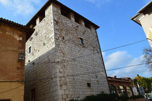 The Town Tower